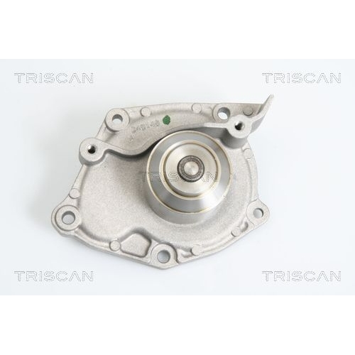 TRISCAN Wasserpumpe, Motork&uuml;hlung 8600 10025