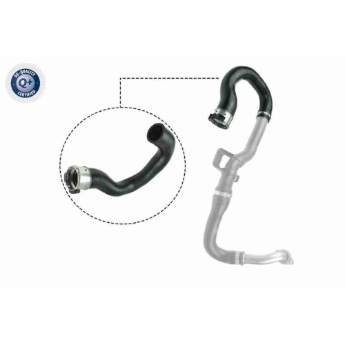 VAICO Ladeluftschlauch Q+, Erstausr&uuml;sterqualit&auml;t V40-1516