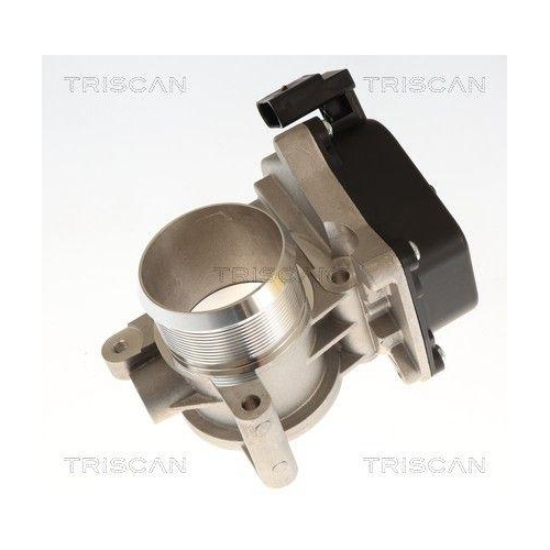 TRISCAN Drosselklappenstutzen 8820 29039