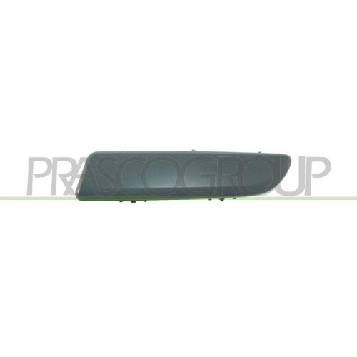 PRASCO Zier-/Schutzleiste, Sto&szlig;f&auml;nger RN3081254
