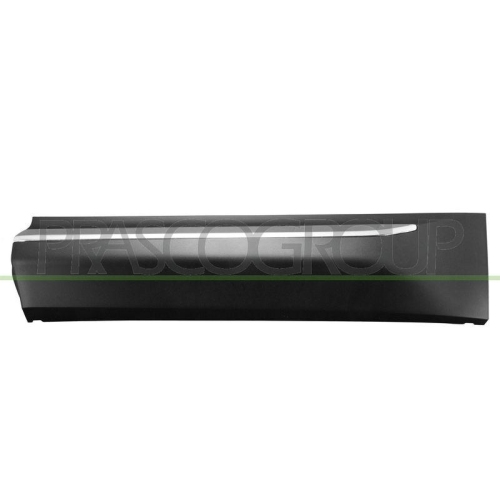 PRASCO Zier-/Schutzleiste, T&uuml;r SK8101464
