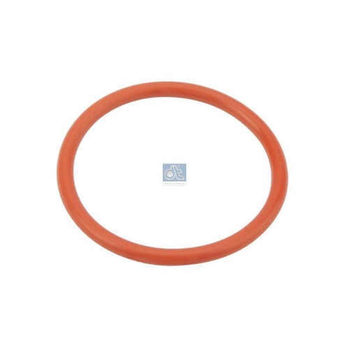 DT Spare Parts Dichtring 6.33080