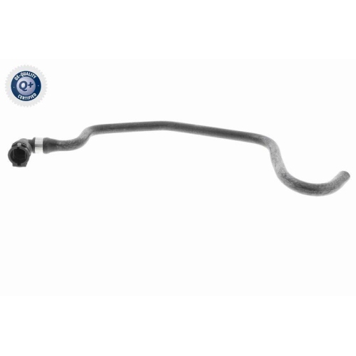 VAICO K&uuml;hlerschlauch Q+, Erstausr&uuml;sterqualit&auml;t V48-0231