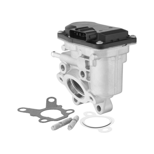 BorgWarner AGR-Ventil 729015D