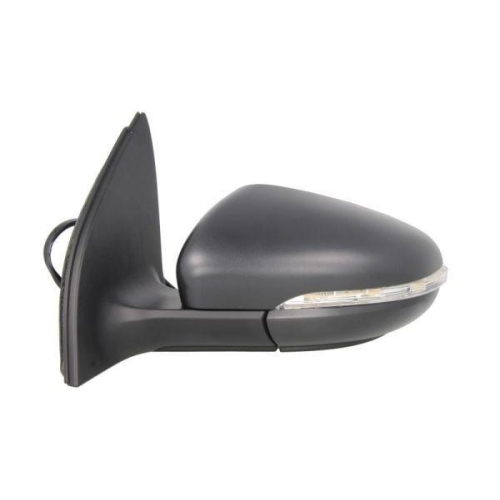 BLIC Außenspiegel 5402-01-2002631P