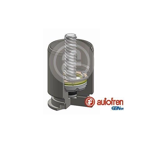 AUTOFREN SEINSA Kolben, Bremssattel D025363LK