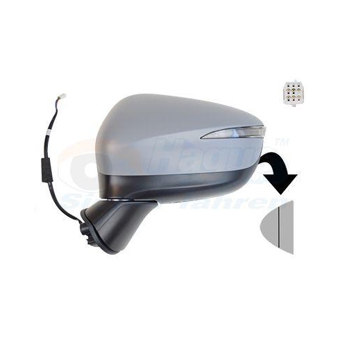 VAN WEZEL Au&szlig;enspiegel * HAGUS * 2791805