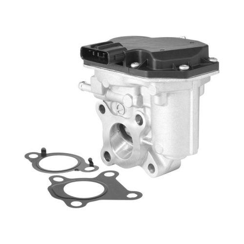 BorgWarner AGR-Ventil 729008D