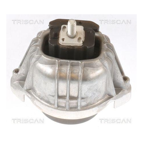 TRISCAN Lagerung, Motor 8505 11107