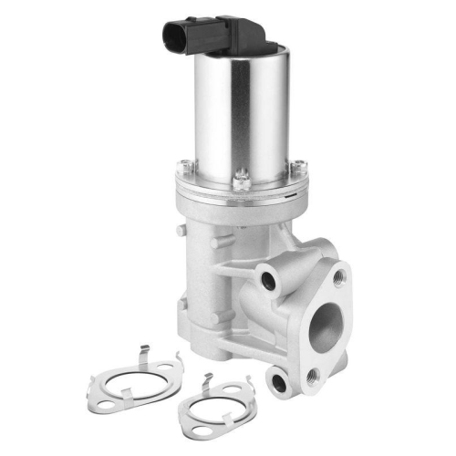 BorgWarner AGR-Ventil 729011D