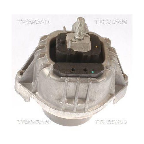 TRISCAN Lagerung, Motor 8505 11111