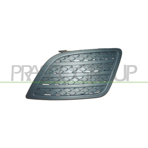 PRASCO L&uuml;ftungsgitter, Sto&szlig;f&auml;nger Premium FD3422124