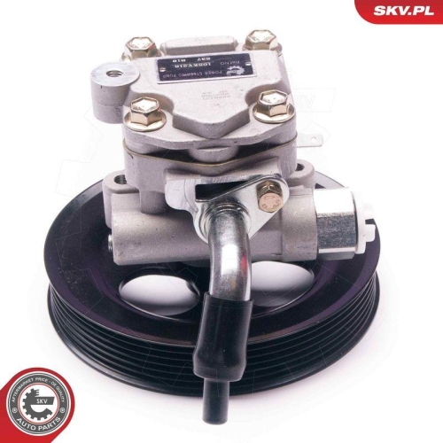 ESEN SKV Hydraulikpumpe, Lenkung 10SKV216