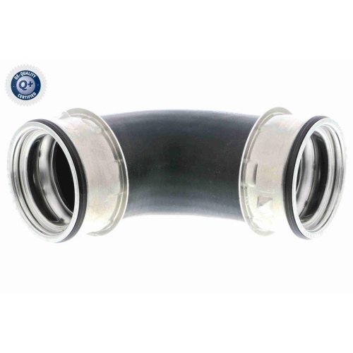 VAICO Ladeluftschlauch Q+, Erstausrüsterqualität V10-3800