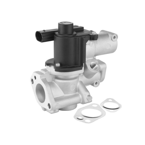 BorgWarner AGR-Ventil 729020D