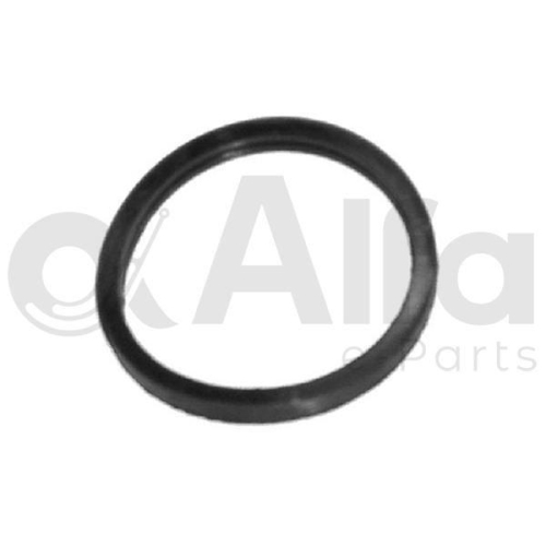 Alfa e-Parts Dichtung, Thermostat AF10612