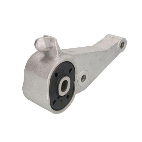REINHOCH Lagerung, Motor RH11-5079