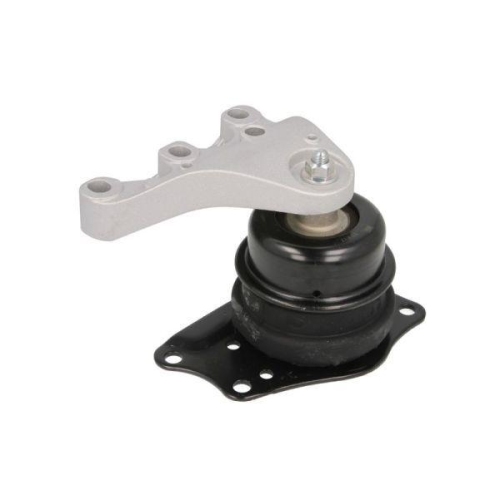 REINHOCH Lagerung, Motor RH11-0048