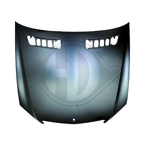 DIEDERICHS Motorhaube 1647000