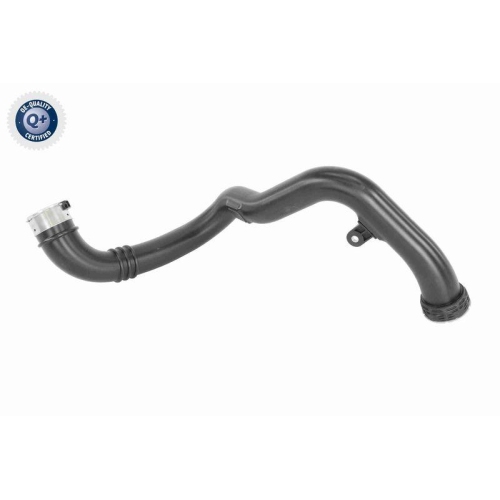 VAICO Ladeluftschlauch Q+, Erstausrüsterqualität V40-2262