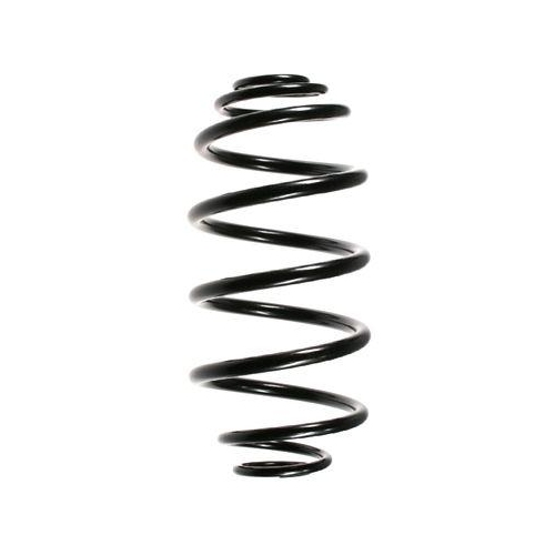 SPIDAN Fahrwerksfeder 55975