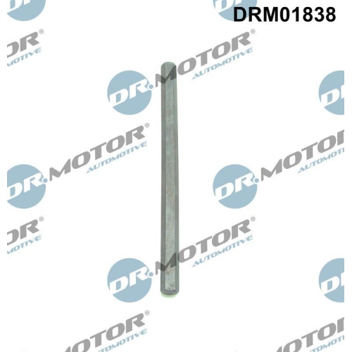 Dr.Motor Automotive Antriebswelle, &Ouml;lpumpe DRM01838