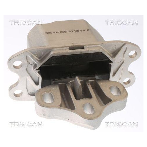TRISCAN Lagerung, Motor 8505 11120