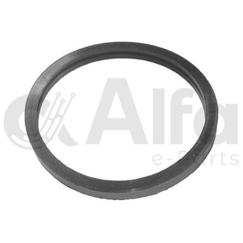Alfa e-Parts Dichtung, Thermostat AF10613