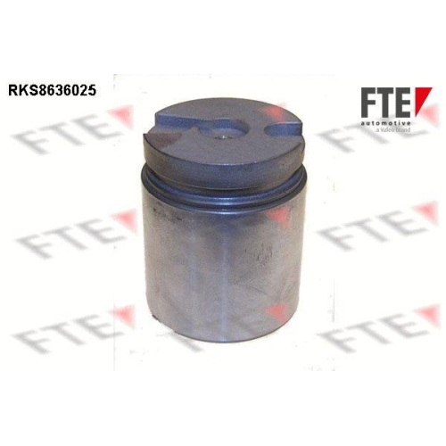 FTE Kolben, Bremssattel 9313060