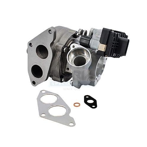 MEAT & DORIA Lader, Aufladung 65868