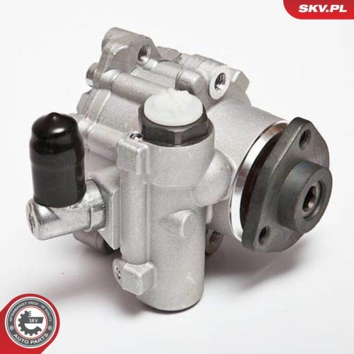 ESEN SKV Hydraulikpumpe, Lenkung 10SKV043
