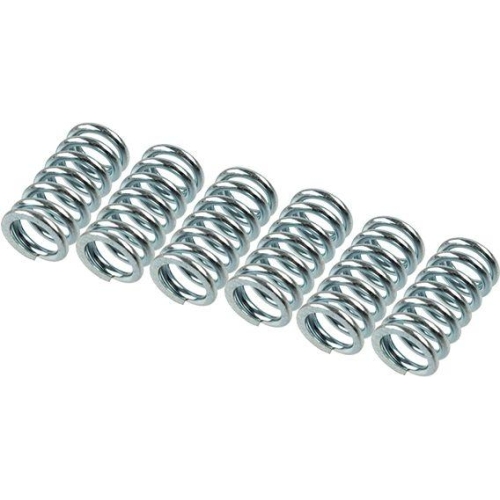 TRW Kupplungsfedernsatz MEF109-6