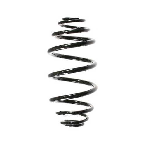 SPIDAN Fahrwerksfeder 55978