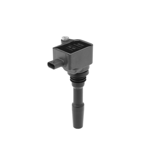 BorgWarner (BERU) Z&uuml;ndspule ZSE259
