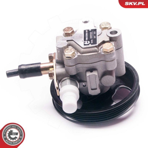 ESEN SKV Hydraulikpumpe, Lenkung 10SKV228