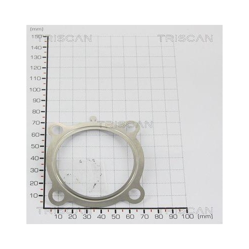 TRISCAN Dichtung 8813 9989