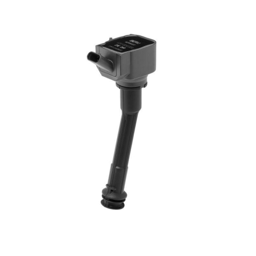 BorgWarner (BERU) Z&uuml;ndspule ZSE260