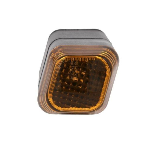 TRUCKLIGHT Blinkleuchte CL-IV017
