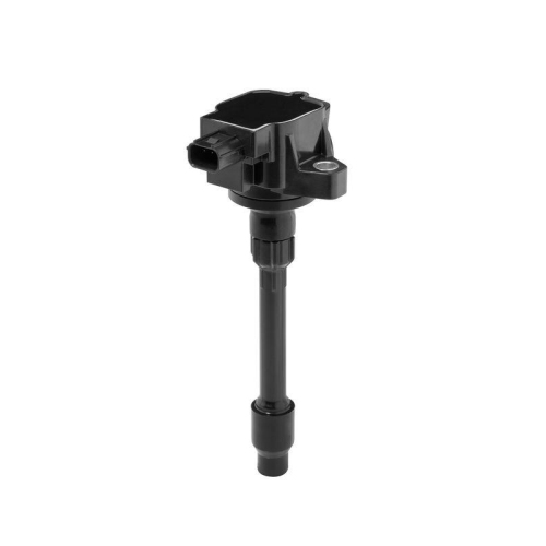 BorgWarner (BERU) Z&uuml;ndspule ZSE295