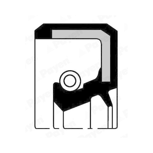 PAYEN Wellendichtring, Kurbelwelle NJ252