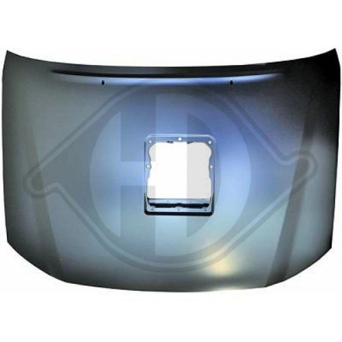 DIEDERICHS Motorhaube 6684900