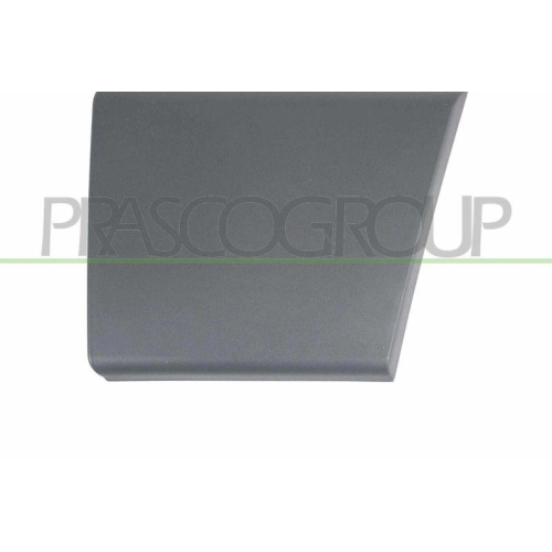 PRASCO Zier-/Schutzleiste, T&uuml;r FT9301406
