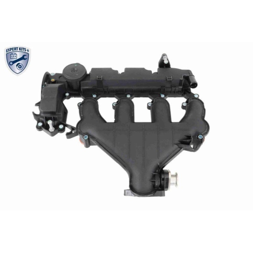 VAICO Zylinderkopfhaube EXPERT KITS + V42-1046