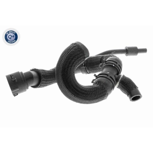 VAICO Kühlerschlauch Q+, Erstausrüsterqualität V10-4288