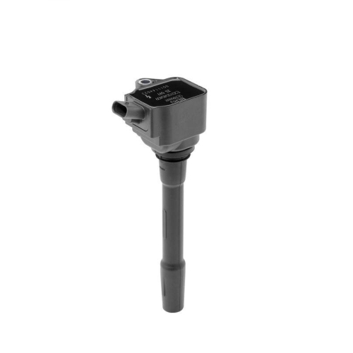 BorgWarner (BERU) Z&uuml;ndspule ZS597