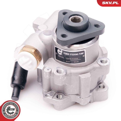 ESEN SKV Hydraulikpumpe, Lenkung 10SKV239