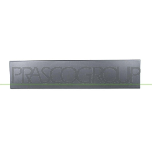 PRASCO Zier-/Schutzleiste, T&uuml;r FT9301458