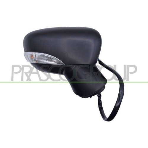 PRASCO Au&szlig;enspiegel DS0167303
