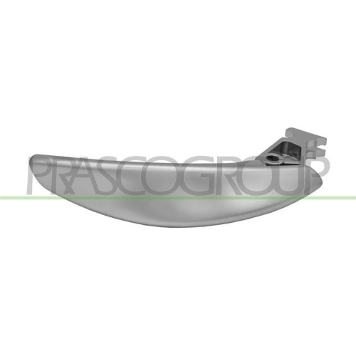 PRASCO T&uuml;rgriff, Innenausstattung BM8028818