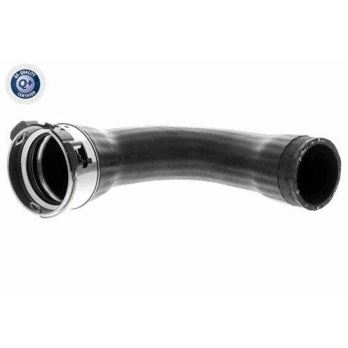 VAICO Ladeluftschlauch Q+, Erstausrüsterqualität V10-4378